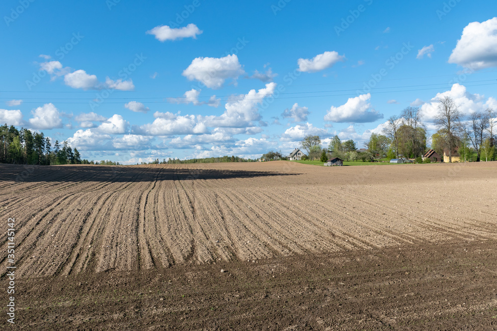 cultivated field in spring, small white clouds in the sky