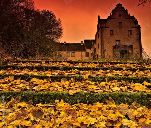 Stary pałac zamek dwór liście schody