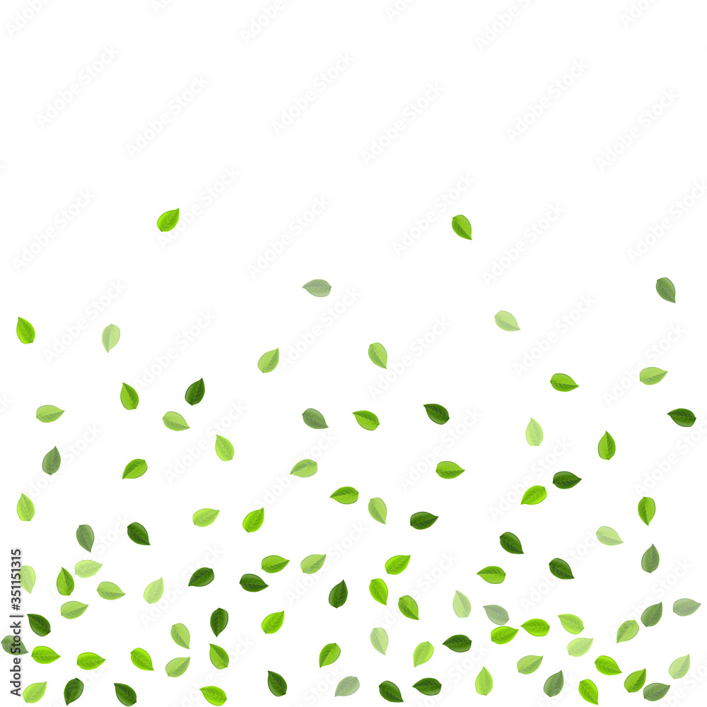 Grassy Greens Abstract Vector Border. Transparent Grassy Greens Abstract Vector Border. Transparent