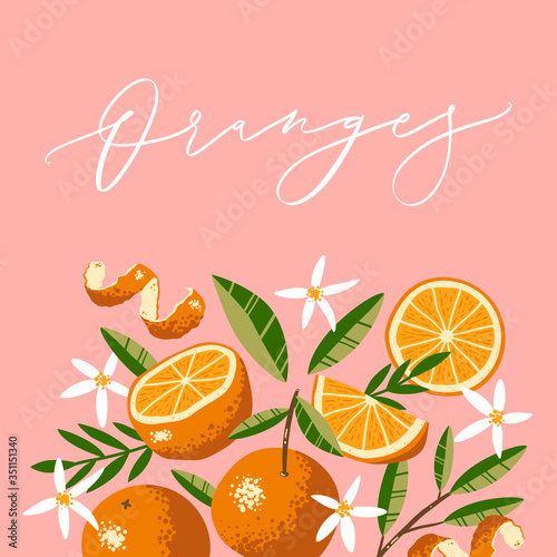 Oranges, Flowers and Leaves in hand drawn style. Vector Calligraphy inscription.