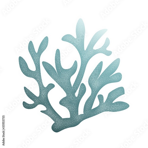 Sea coral, blue isolated on white background, stock vector illustration for design and decor