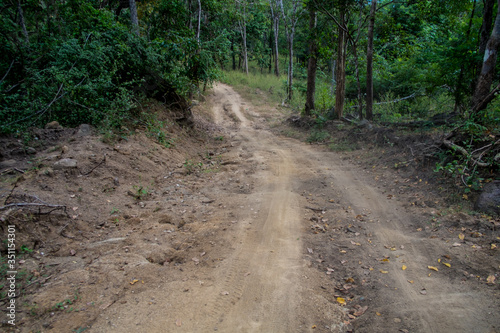 dust and sand in forest