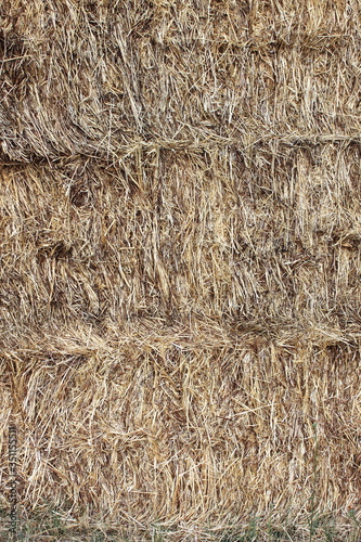 Pile of square hay bales