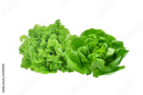 fresh green oak and green butter lettuce salad leaves isolated on white background