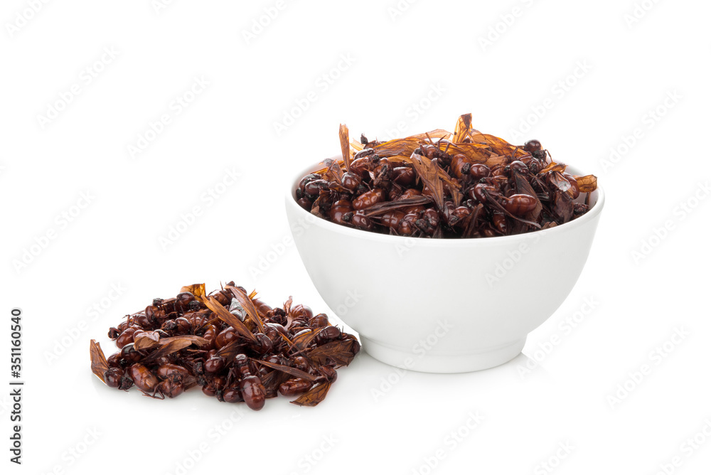 male subterranean ants in the white bowl isolated on white background, tropical food male subterranean ants in the white bowl isolated on white background, tropical food