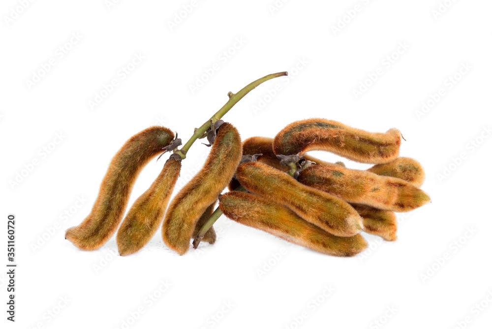 mucuna pruriens or velvet bean isolated on white background, tropical herbs mucuna pruriens or velvet bean isolated on white background, tropical herbs