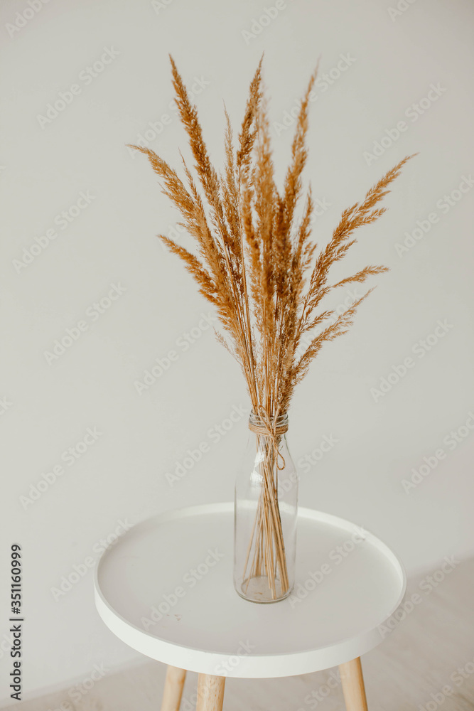vase with dry grass on a white table on a gray background