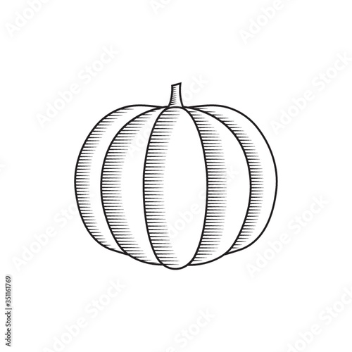 A pumpkin illustration.
