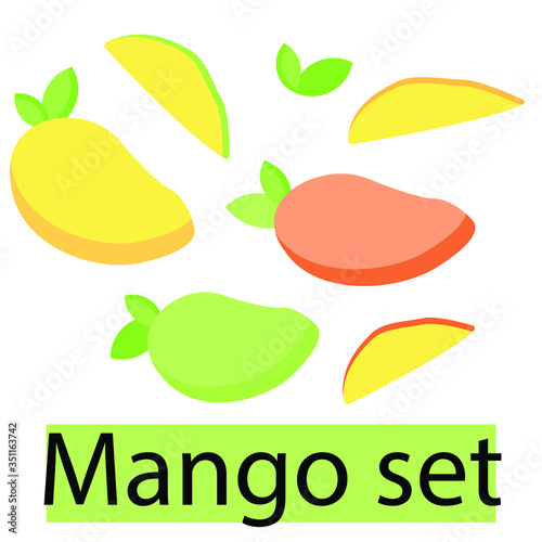 vector illustration set with mango