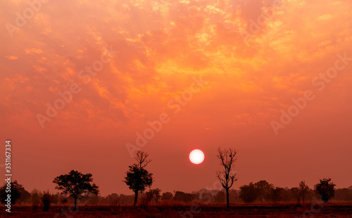 Red and orange sunset sky with deciduous dipterocarp forest in northeast Thailand. Beautiful sunset sky in summer. Big red sun above tree in the evening. Tranquil and peaceful landscape. Romantic sky.