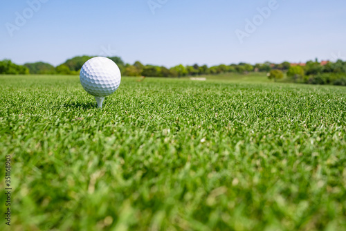 Golf Ball on tee at the teeing area. Golf course with a rich green turf beautiful scenery.