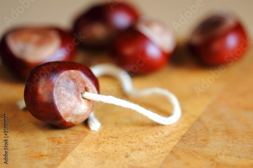 Game of conkers showing conkers on table with string