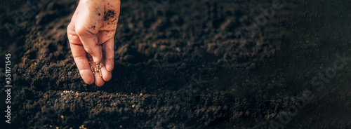Foto Hand growing seeds on sowing soil