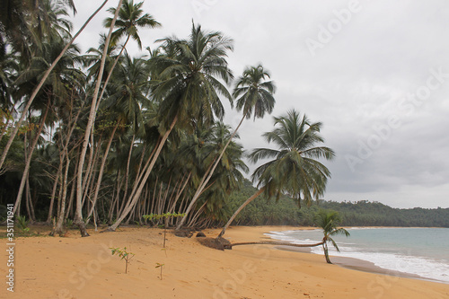 A detail of Grande beach on the north coast of Principe island  S  o Tom   and Pr  ncipe.