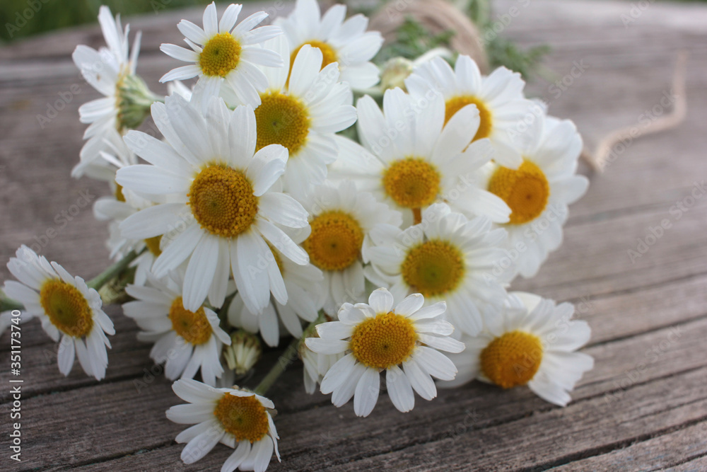 Obraz premium Bouquet of white daisies on a rustic table outdoors. Fresh chamomile flowers on wooden background 