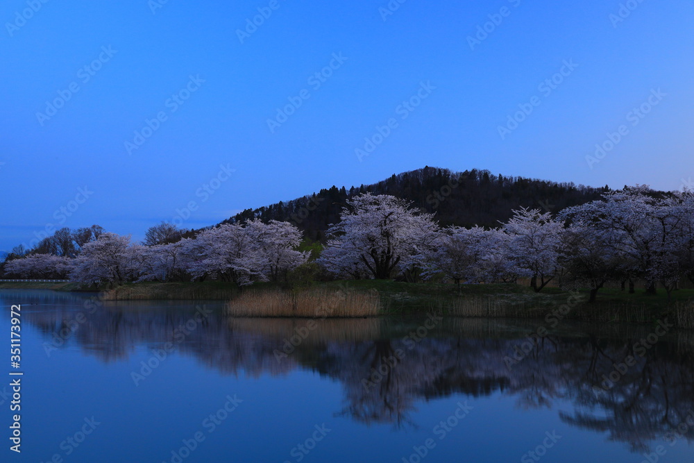 春の三郎堤 春の三郎堤