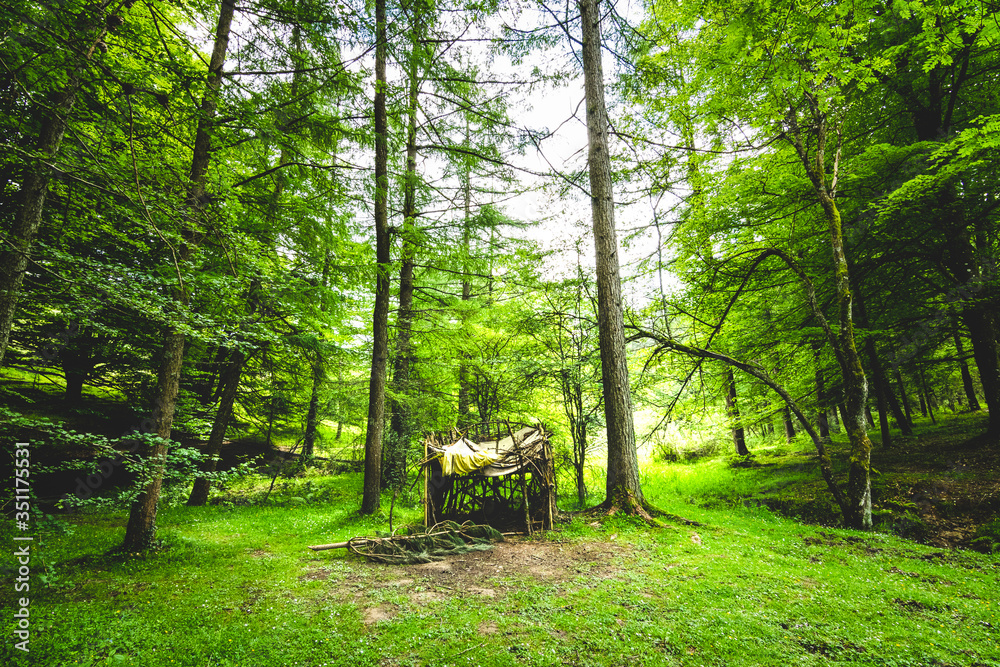 Little cabin in the middle of the forest Little cabin in the middle of the forest