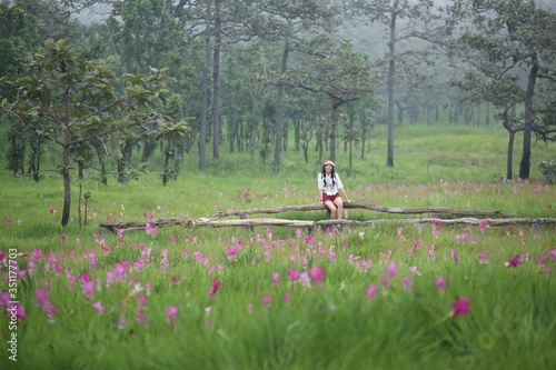 Women in the fields of Krachiew flowers at Sai Thong National Park in Chaiyaphum, Thailand