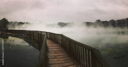 Wallpaper Mural Rotorua, Volcanic and Boiling land Torontodigital.ca