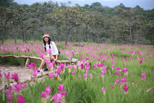 Women in the fields of Krachiew flowers at Sai Thong National Park in Chaiyaphum, Thailand