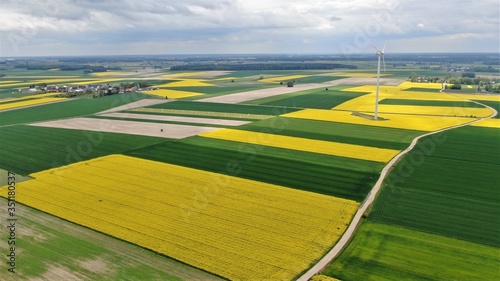 Aerial view of rapeseed fields with wind turbine, Poland