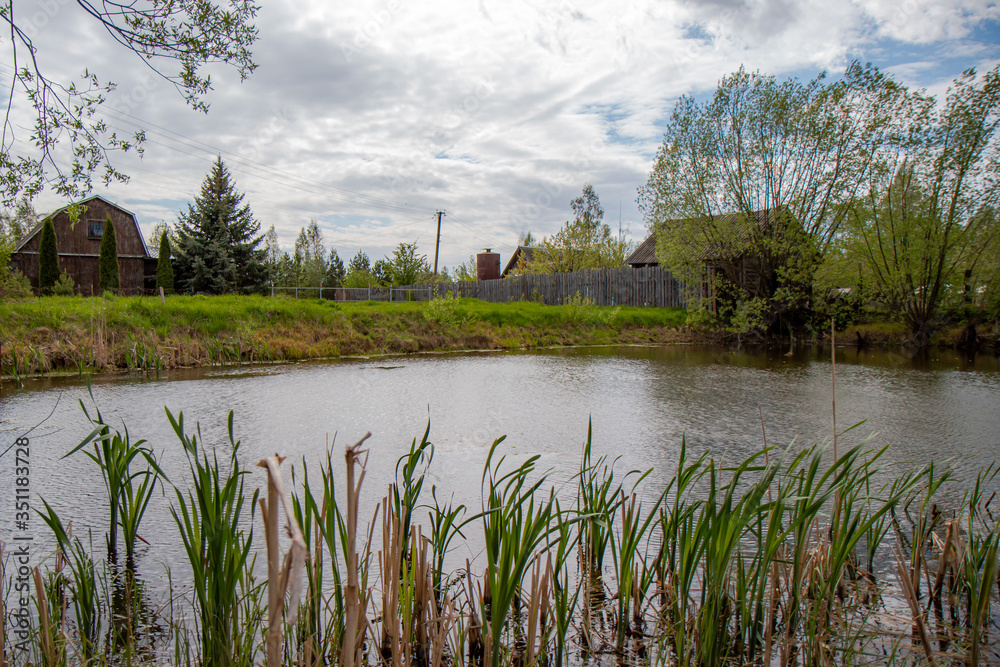 Fototapeta premium landscape with lake and trees