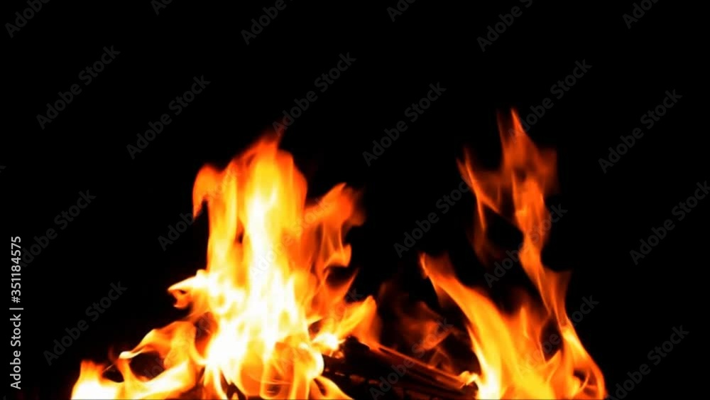 fire on black, campfire background, burning wood fire
fire on black, campfire background, burning wood fire
