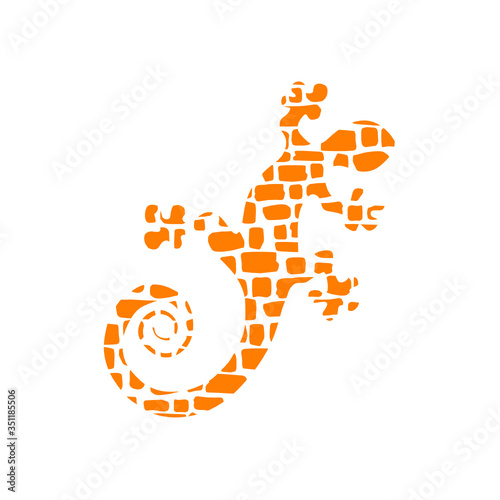 lizard on a white background