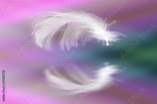 White Feather on Colorful Page With Reflection