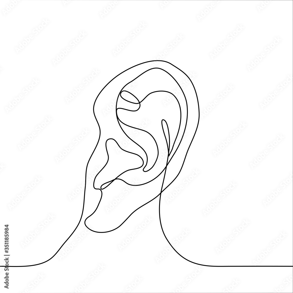 Realistic drawing of a human ear. One continuous line drawing anatomy of  the auricle. Vector illustration can be used for animation. Stock Vector |  Adobe Stock