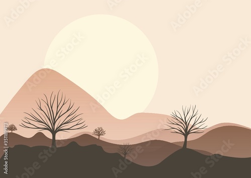 desert landscape