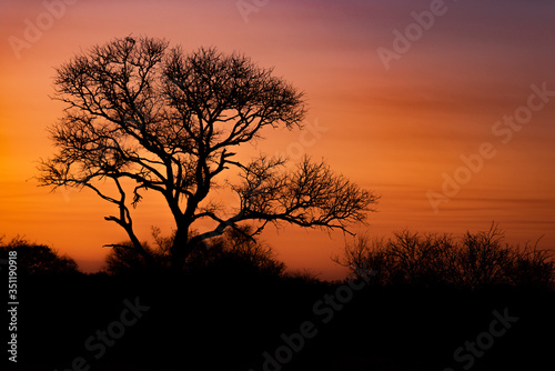 African Sunset
