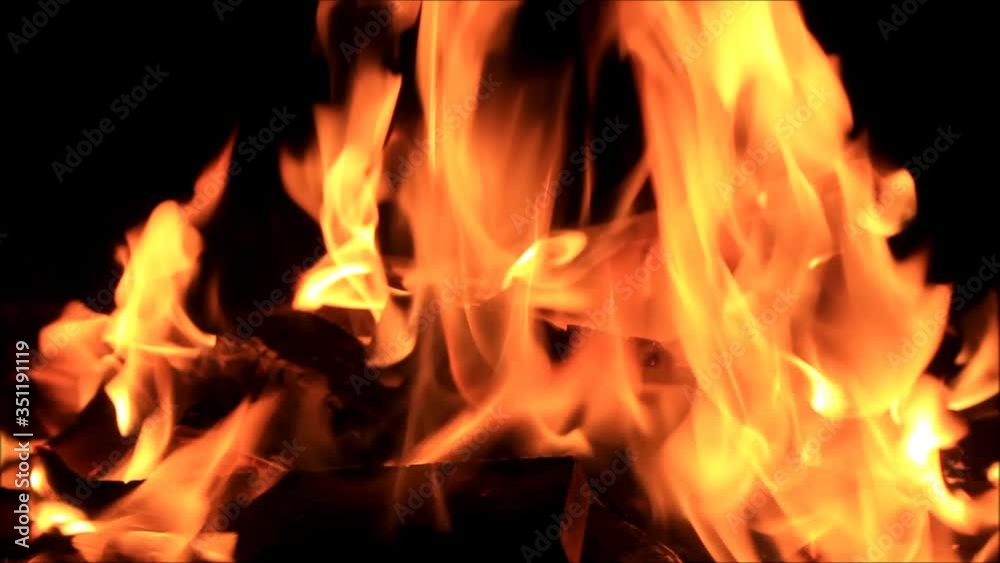 fire on black, campfire background, burning wood fire
fire on black, campfire background, burning wood fire