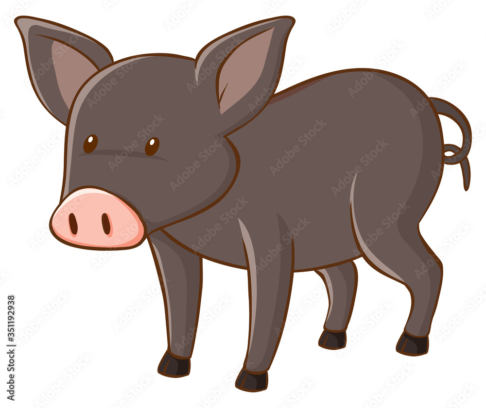 Naklejka premium Gray pig on white background