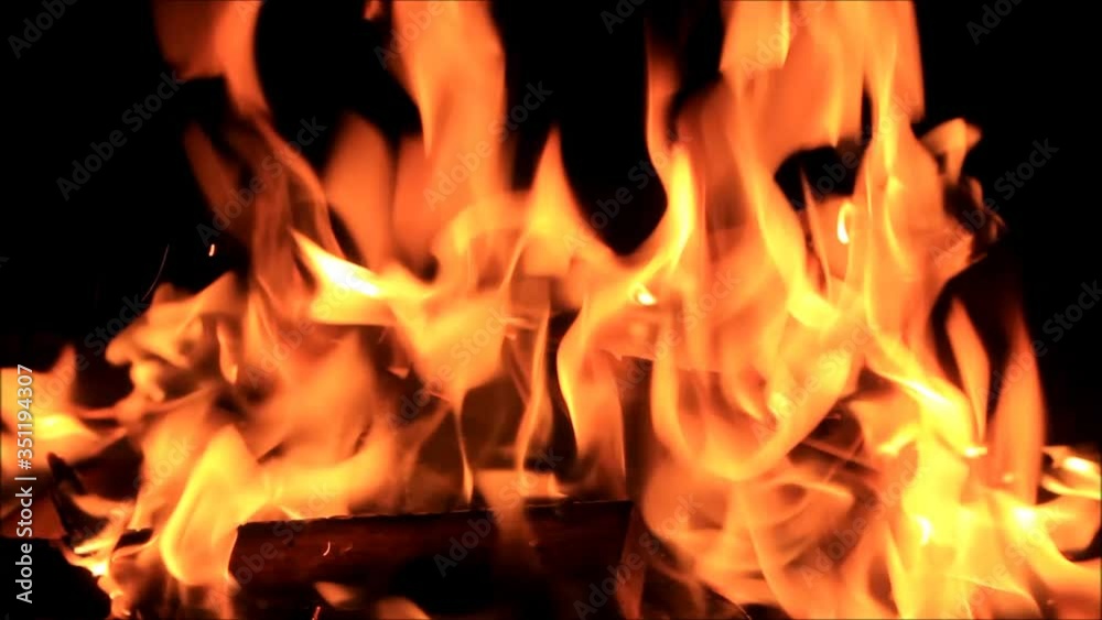 fire on black, campfire background, burning wood fire
fire on black, campfire background, burning wood fire
