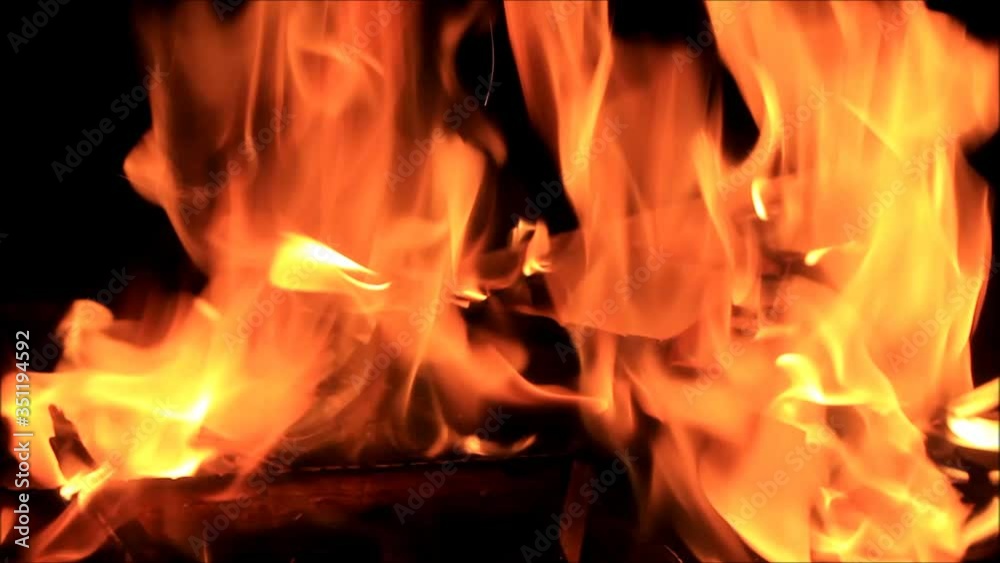 fire on black, campfire background, burning wood fire
fire on black, campfire background, burning wood fire