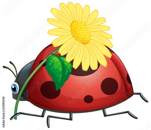 Ladybug holding yellow flower