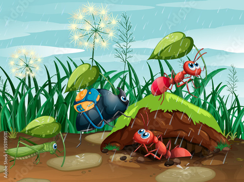 Scene with plants and insects in the garden