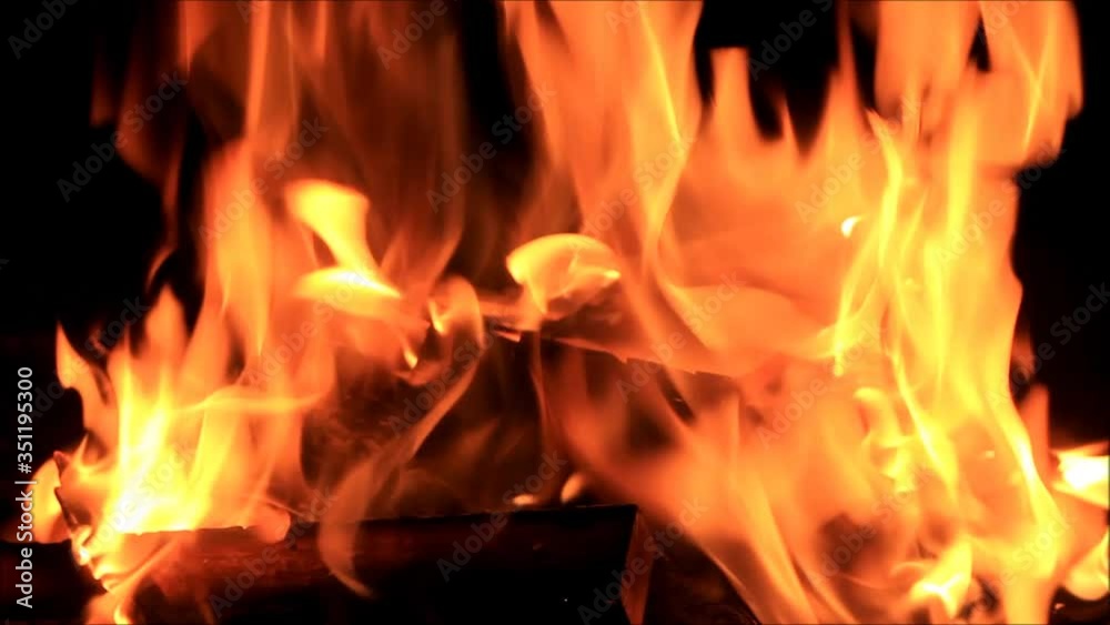 fire on black, campfire background, burning wood fire
fire on black, campfire background, burning wood fire