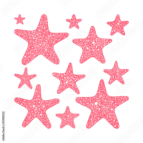 Stars collection. Various sea starfish hand drawn vector illustrations set. 