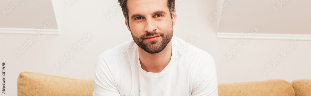 Fototapeta premium Panoramic crop of handsome man looking at camera on couch at home