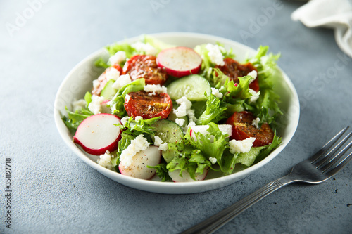Healthy green salad with sun dried tomatoes, radish, cucumber and cheese