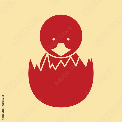 chick hatched from egg