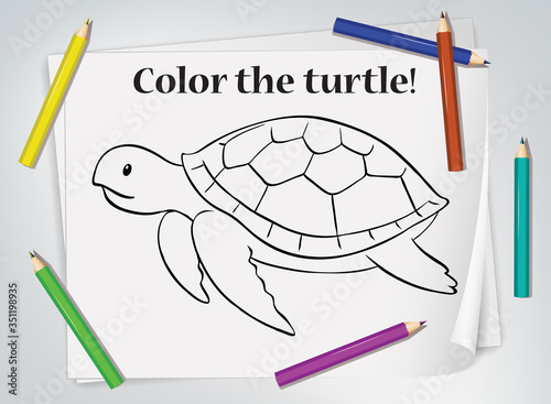 Children turtle coloring worksheet