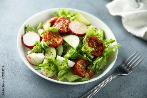 Healthy green salad with sun dried tomatoes