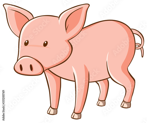 Cute little pig on white background