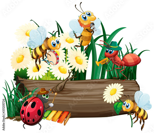Insect in nature on white background