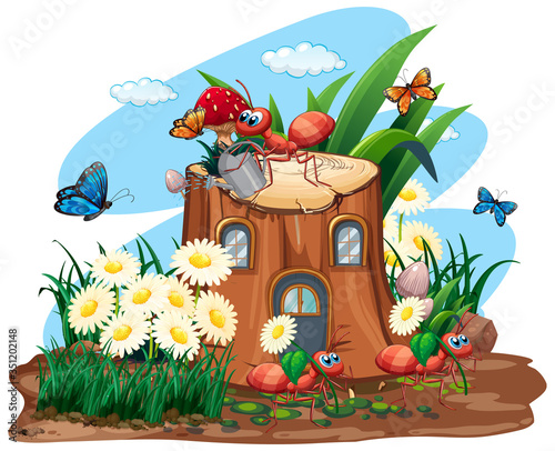 Scene with plants and insects in the garden