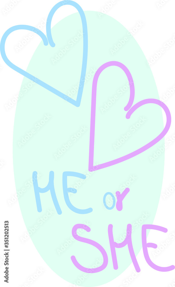Gender Reveal Party. Lettering SHE or HE. Pink and blue hearts.
Gender Reveal Party. Lettering SHE or HE. Pink and blue hearts.