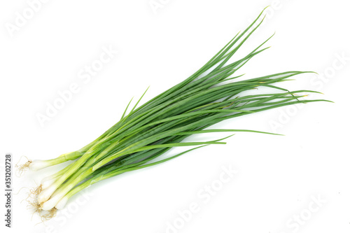 Leek on white background with clipping path